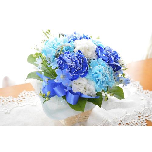 �v�`�ґ�ȃA�����W�@BlueWhite�@�i�J�[�l�[�V�����̃t�����[�A�����W�����g�j�u���[�n�@�a�����A�����L�O���A���j���A�h�V�̓�3