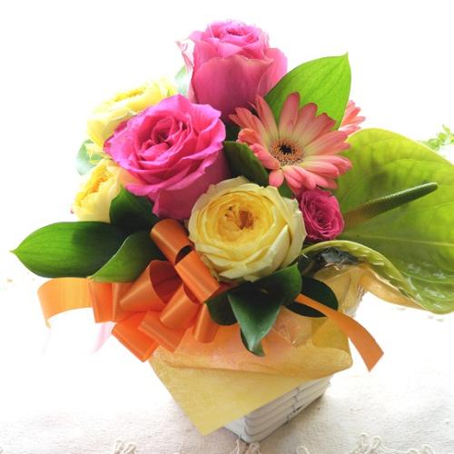 �v�`�ґ�ȃA�����W�����g�@LovelyRose�@�@�i�o���̃t�����[�A�����W�����g�j�s���N�n�@�a�����A�����L�O���A���j��