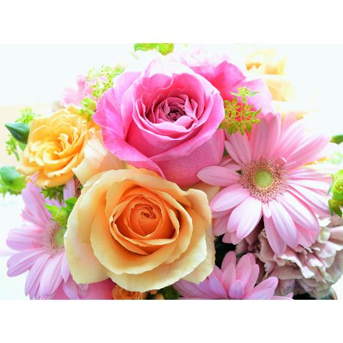�v�`�ґ�ȃA�����W�@PinkPrincess �i�o���ƃK�[�x���̃t�����[�A�����W�����g) �s���N�n�@�a�����A�����L�O���A���j���A�h�V�̓�3