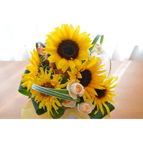 �L���[�g�ȃA�����W�����g�@PureSummer�@�i�q�}�����̃t�����[�A�����W�������g�j�C�G���[�I�����W�n3
