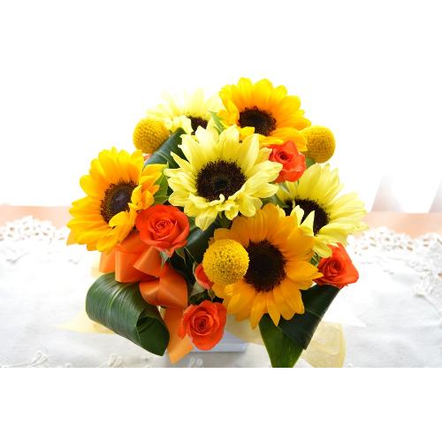�L���[�g�ȃA�����W�����g�@HappySummer�@�i�q�}�����̃t�����[�A�����W�������g�j�C�G���[�I�����W�n2