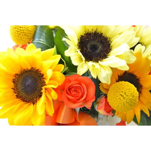 �L���[�g�ȃA�����W�����g�@HappySummer�@�i�q�}�����̃t�����[�A�����W�������g�j�C�G���[�I�����W�n5
