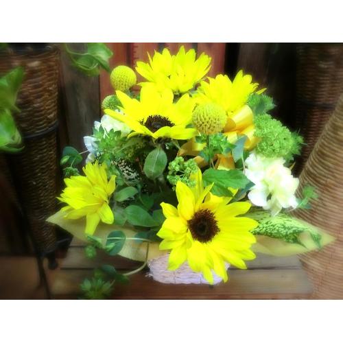 �L���[�g�ȃA�����W�@SunFlower �i�q�}�����ƃJ�[�l�[�V�����̃t�����[�A�����W�������g�j�C�G���[�I�����W�n2
