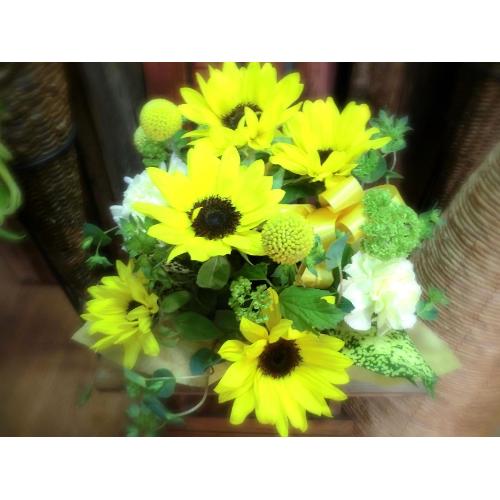 �L���[�g�ȃA�����W�@SunFlower �i�q�}�����ƃJ�[�l�[�V�����̃t�����[�A�����W�������g�j�C�G���[�I�����W�n3