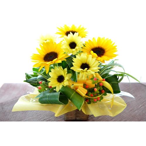 �L���[�g�ȃA�����W�@SummerWaltz�@�i�q�}�����̃t�����[�A�����W�������g�j�C�G���[�I�����W�n�@�a�����A�����L�O���A���j���A���\��A�R���T�[�g�A���C�u5
