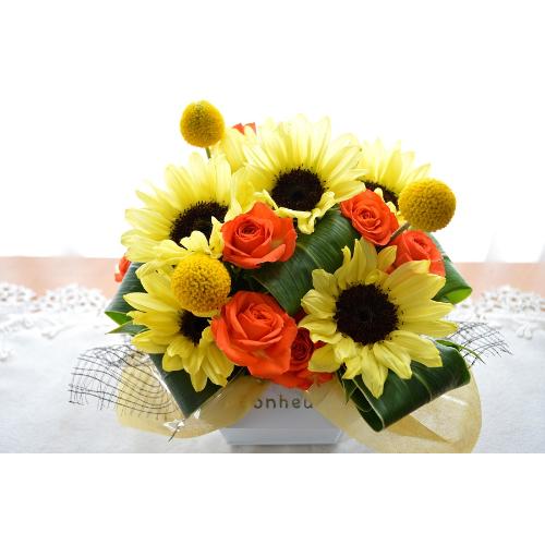 �L���[�g�ȃA�����W�@PineapYellow�@�i�q�}�����̃t�����[�A�����W�������g�j�C�G���[�I�����W�n2