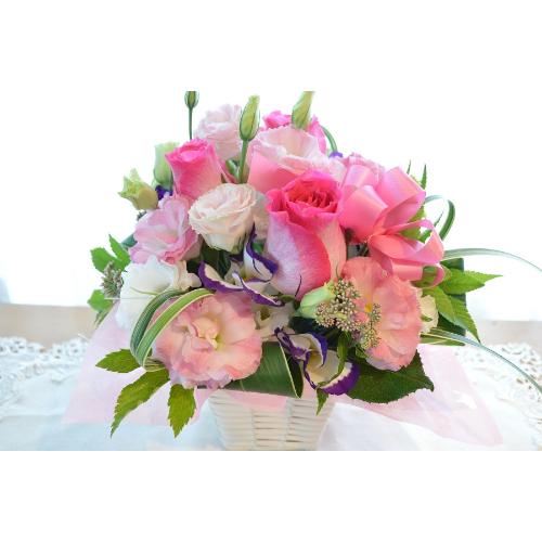 �v�`�ґ�ȃA�����W�@PipeOrgan�@�i�o���ƃK�[�x���̃t�����[�A�����W�����g�j�s���N�n�@�a�����A�����L�O���A���j���A�h�V�̓�2