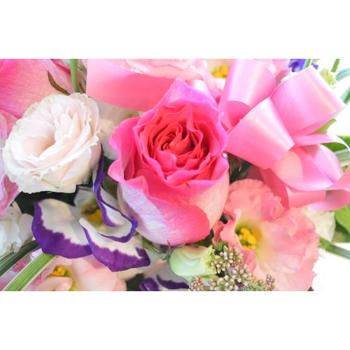 �v�`�ґ�ȃA�����W�@PipeOrgan�@�i�o���ƃK�[�x���̃t�����[�A�����W�����g�j�s���N�n�@�a�����A�����L�O���A���j���A�h�V�̓�5