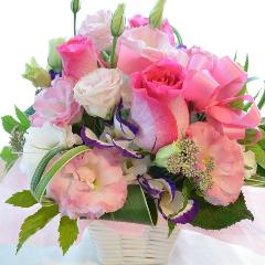 �v�`�ґ�ȃA�����W�@PipeOrgan�@�i�o���ƃK�[�x���̃t�����[�A�����W�����g�j�s���N�n�@�a�����A�����L�O���A���j���A�h�V�̓�