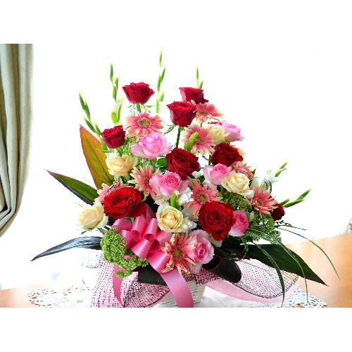 �t�B�K���̌���  (�o���ƃK�[�x���̃t�����[�A�����W�����g�j�ԃs���N�n�@�J�X�j���A�J�Əj���A���N�j���A�A�C�j���A�ړ]�j���A����A���\��3