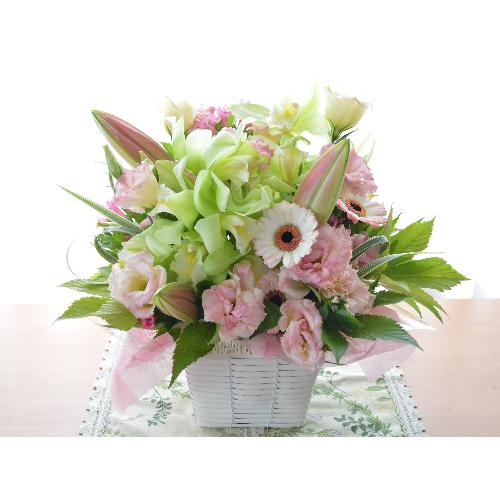 �������A���@�A�����W�����g�@PinkSweet�@(���ƃ����̃t�����[�A�����W�����g�j�s���N�n�@�a�����A�����L�O���A���j���A��̓��A�h�V�̓�3