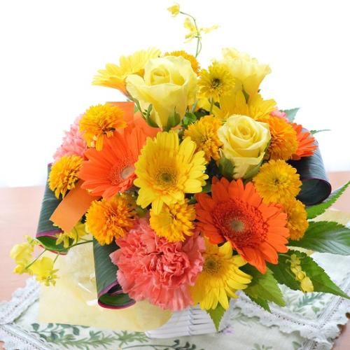 �v�`�ґ�ȃA�����W�@HighYellow�@(�o���ƃK�[�x���̃t�����[�A�����W�����g�j�C�G���[�n�i���F�j�@�a�����A�����L�O��,���j���A�h�V�̓�