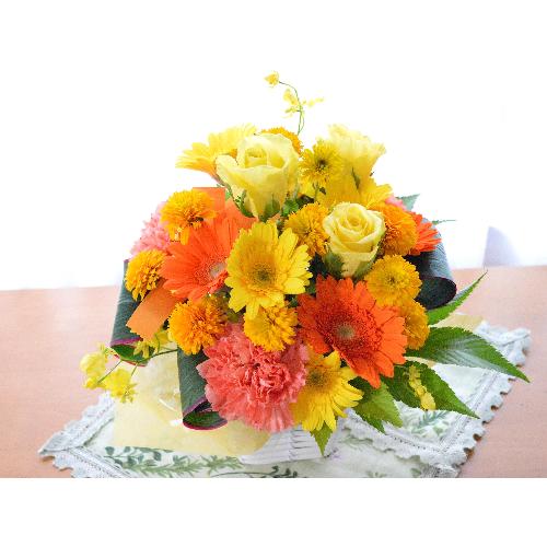 �v�`�ґ�ȃA�����W�@HighYellow�@(�o���ƃK�[�x���̃t�����[�A�����W�����g�j�C�G���[�n�i���F�j�@�a�����A�����L�O��,���j���A�h�V�̓�2