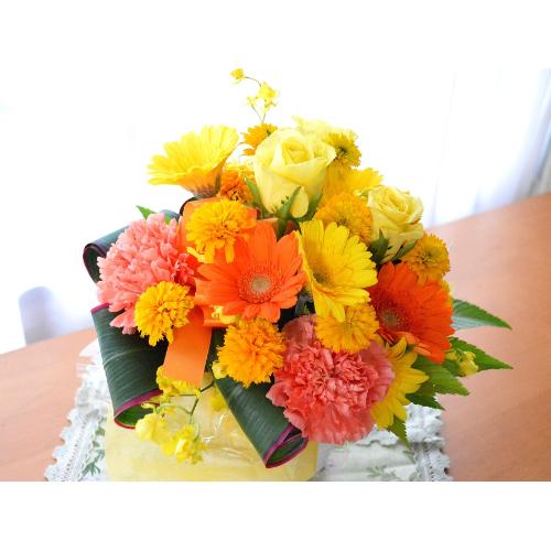 �v�`�ґ�ȃA�����W�@HighYellow�@(�o���ƃK�[�x���̃t�����[�A�����W�����g�j�C�G���[�n�i���F�j�@�a�����A�����L�O��,���j���A�h�V�̓�4
