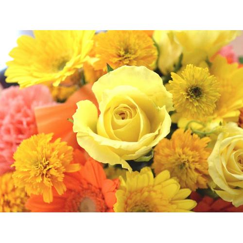 �v�`�ґ�ȃA�����W�@HighYellow�@(�o���ƃK�[�x���̃t�����[�A�����W�����g�j�C�G���[�n�i���F�j�@�a�����A�����L�O��,���j���A�h�V�̓�5