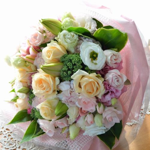 �������A���@�u�[�P�@�o����������Select�@�i�o���ƃg���R�L�L���E�̉ԑ��j�@�s���N�n�@�a�����E�����L�O���E���ʁE���j���E���\��E�����j��