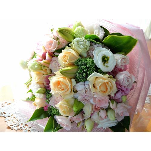 �������A���@�u�[�P�@�o����������Select�@�i�o���ƃg���R�L�L���E�̉ԑ��j�@�s���N�n�@�a�����E�����L�O���E���ʁE���j���E���\��E�����j��3