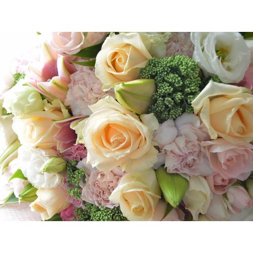 �������A���@�u�[�P�@�o����������Select�@�i�o���ƃg���R�L�L���E�̉ԑ��j�@�s���N�n�@�a�����E�����L�O���E���ʁE���j���E���\��E�����j��5