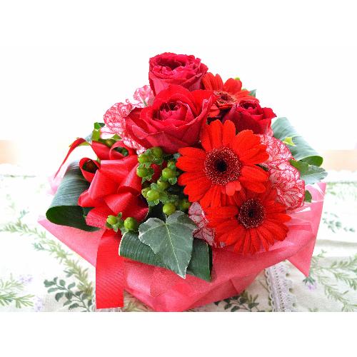 �v�`�ґ�ȃA�����W�@RedPrincess (�o���ƃK�[�x���̃t�����[�A�����W�����g�j�@�Ԍn�i���b�h�j�@�a�����A�����L�O���A���j���A�N���X�}�X2