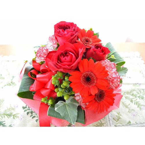 �v�`�ґ�ȃA�����W�@RedPrincess (�o���ƃK�[�x���̃t�����[�A�����W�����g�j�@�Ԍn�i���b�h�j�@�a�����A�����L�O���A���j���A�N���X�}�X3