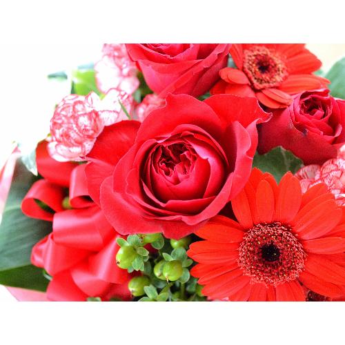 �v�`�ґ�ȃA�����W�@RedPrincess (�o���ƃK�[�x���̃t�����[�A�����W�����g�j�@�Ԍn�i���b�h�j�@�a�����A�����L�O���A���j���A�N���X�}�X4