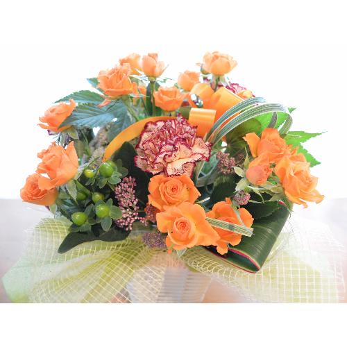 �v�`�ґ�ȃA�����W�����g�@IslandOrange�@�i�����o���̃t�����[�A�����W�����g�j�I�����W�n�@�a�����A�����L�O���A���j��2