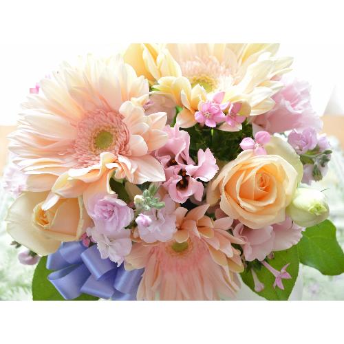 �������p�@�A���W�����g�@AngelPink�@�i�o���ƃK�[�x���̃t�����[�A�����W�����g�j�@�s���N�n�@�������A������݁A���~�A���ފ݁A�����A�@��5