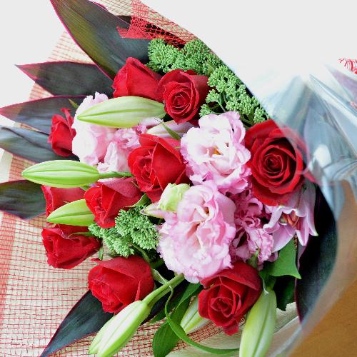 �������A���@�u�[�P�@FreedomRed�@�i�o���ƃg���R�L�L���E�̉ԑ��j�@�s���N�n�@�a�����E�����L�O���E���ʁE���j���E���\��E�N���X�}�X