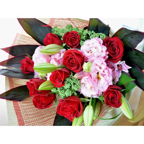 �������A���@�u�[�P�@FreedomRed�@�i�o���ƃg���R�L�L���E�̉ԑ��j�@�s���N�n�@�a�����E�����L�O���E���ʁE���j���E���\��E�N���X�}�X4