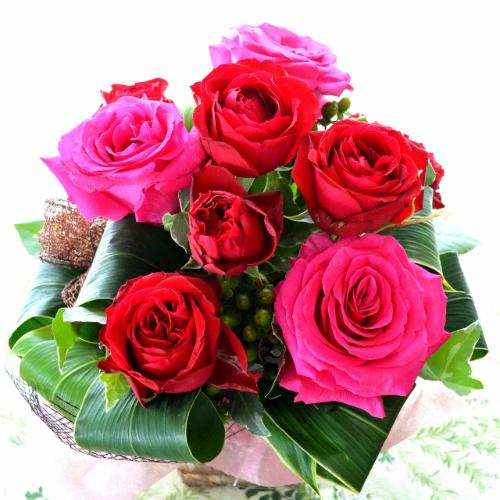 ��l�̃A�����W�����g�@RedElegance  (�o���̃t�����[�A�����W�����g�j�@�Ԍn�@�N���X�}�X�A�a�����A�����L�O���A���j��