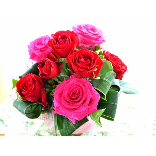 ��l�̃A�����W�����g�@RedElegance  (�o���̃t�����[�A�����W�����g�j�@�Ԍn�@�N���X�}�X�A�a�����A�����L�O���A���j��4