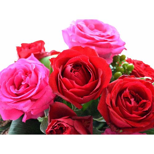 ��l�̃A�����W�����g�@RedElegance  (�o���̃t�����[�A�����W�����g�j�@�Ԍn�@�N���X�}�X�A�a�����A�����L�O���A���j��5