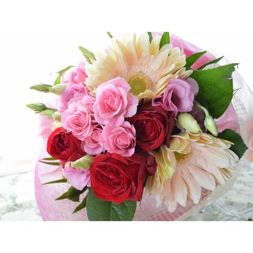 �v�`�ґ�ȃu�[�P�@PinkRed�@�i�o���ƃK�[�x���̉ԑ��j�@�s���N�Ԍn�@�a�����E�����L�O���E���ʁE���j���E���\��E���C�u4