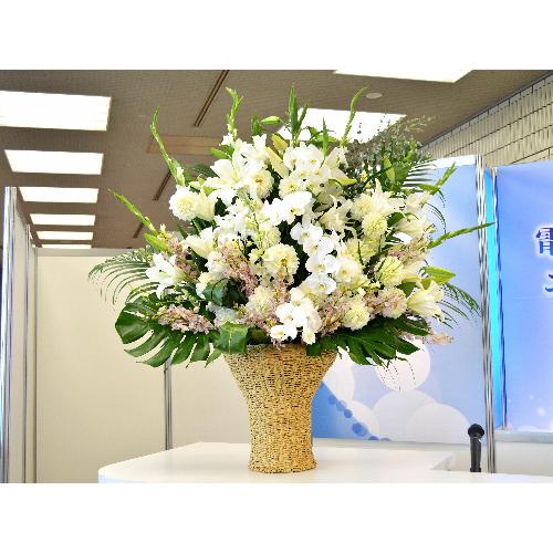 �X�[�p�[�A�����W�����g�@BigSwan�@�i�����ƌӒ����̃t�����[�A�����W�����g�j�@���n�@�W����A�a�����A����A���\��A�o���j���A���j��2