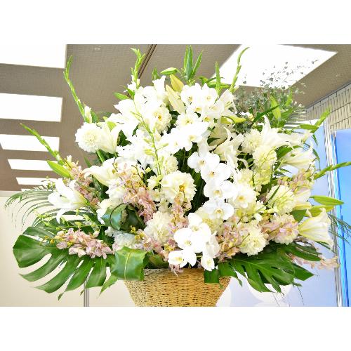 �X�[�p�[�A�����W�����g�@BigSwan�@�i�����ƌӒ����̃t�����[�A�����W�����g�j�@���n�@�W����A�a�����A����A���\��A�o���j���A���j��3