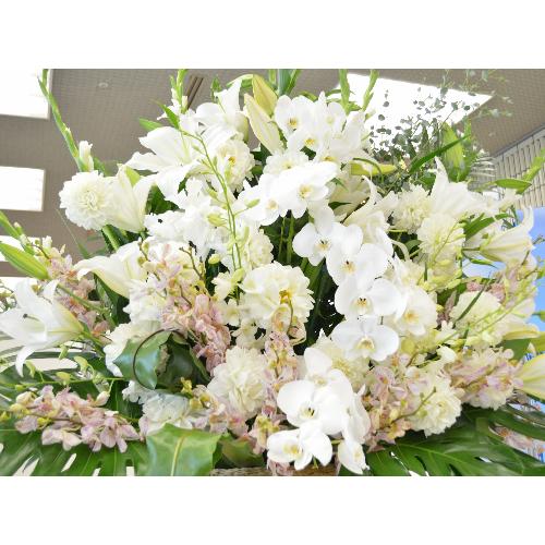 �X�[�p�[�A�����W�����g�@BigSwan�@�i�����ƌӒ����̃t�����[�A�����W�����g�j�@���n�@�W����A�a�����A����A���\��A�o���j���A���j��4