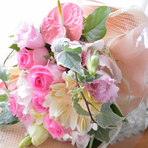 ��l�̃u�[�P�@PinkFeather�@�i�o���ƃK�[�x���̉ԑ��j�@�s���N�n�@�a�����E�����L�O���E���ʁE���j���E���\��E���C�u�E�R���T�[�g