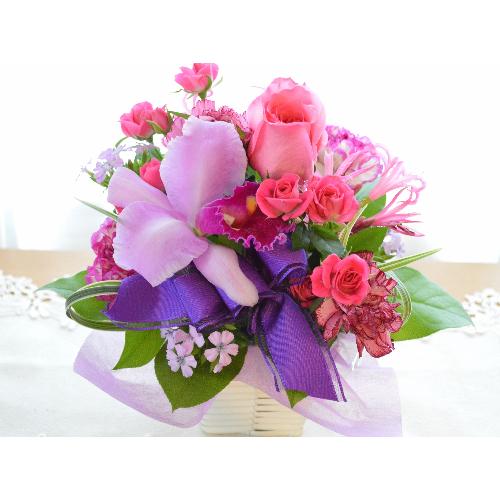 �v�`�ґ�ȃA�����W�@LoveSense�@�i�J�g���A�ƃo���̃t�����[�A�����W�����g�j�s���N�n�@�a�����A�����L�O���A���j��2
