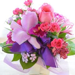 �v�`�ґ�ȃA�����W�@LoveSense�@�i�J�g���A�ƃo���̃t�����[�A�����W�����g�j�s���N�n�@�a�����A�����L�O���A���j��