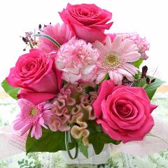 �v�`�ґ�ȃA�����W�@MilkyPink  (�o���ƃK�[�x���̃t�����[�A�����W�����g�j�@�s���N�n�@�a�����A�����L�O���A���j���A���\��A�R���T�[�g�A���C�u