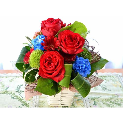 ��l�̃A�����W�����g�@RedStar  (�o���̃t�����[�A�����W�����g�j�@�s���N�n�@�a�����A�����L�O���A���j���A�h�V�̓��A�����v�w�̓��A�N���X�}�X4