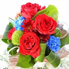 ��l�̃A�����W�����g�@RedStar  (�o���̃t�����[�A�����W�����g�j�@�s���N�n�@�a�����A�����L�O���A���j���A�h�V�̓��A�����v�w�̓��A�N���X�}�X