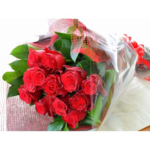 �P�_�[�X�̐Ԃ��o��  �i�ԑ��j�@�o�����^�C���A�z���C�g�f�C�A�����L�O���A�v���|�[�Y�A���l�̓��A�N���X�}�X2