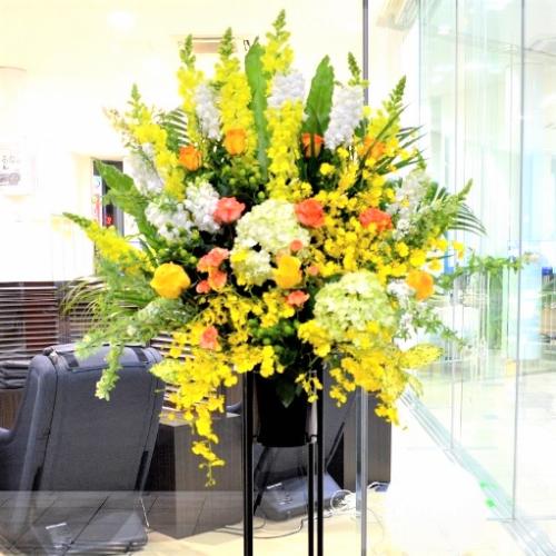 ���j���p�@�X�^���h�� �@��i�@���F�I�����W�n�@(�o���̃X�^���h�ԁj�J�X�j���A�J�Əj���A���N�j���A����A�R���T�[�g�A���C�u�A�W����A�W����A���\��