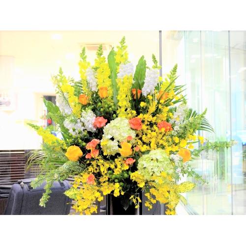 ���j���p�@�X�^���h�� �@��i�@���F�I�����W�n�@(�o���̃X�^���h�ԁj�J�X�j���A�J�Əj���A���N�j���A����A�R���T�[�g�A���C�u�A�W����A�W����A���\��3