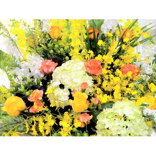 ���j���p�@�X�^���h�� �@��i�@���F�I�����W�n�@(�o���̃X�^���h�ԁj�J�X�j���A�J�Əj���A���N�j���A����A�R���T�[�g�A���C�u�A�W����A�W����A���\��4