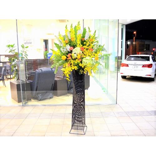 ���j���p�@�X�^���h�� �@�����^�@���F�I�����W�n�@(�o���̃X�^���h�ԁj�J�X�j���A�J�Əj���A���N�j���A����A�R���T�[�g�A���C�u�A�W����A�W����A���\��2