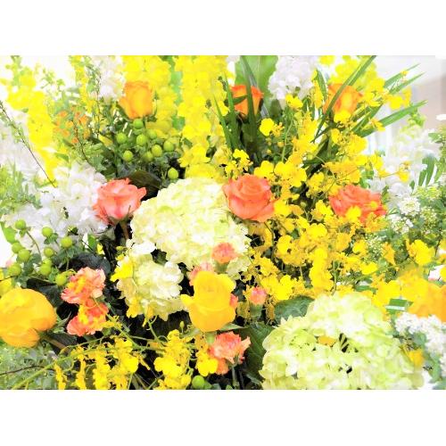 ���j���p�@�X�^���h�� �@�����^�@���F�I�����W�n�@(�o���̃X�^���h�ԁj�J�X�j���A�J�Əj���A���N�j���A����A�R���T�[�g�A���C�u�A�W����A�W����A���\��4