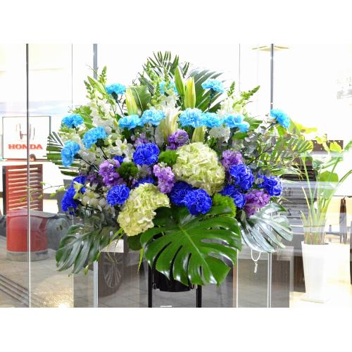 ���j���p�@�X�^���h�� �@��i�@�u���[�n�@(�J�[�l�[�V�����ƃ����̃X�^���h�ԁj�J�X�j���A�J�Əj���A���N�j���A����A�R���T�[�g�A���C�u�A�W����A���\��3