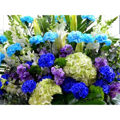 ���j���p�@�X�^���h�� �@��i�@�u���[�n�@(�J�[�l�[�V�����ƃ����̃X�^���h�ԁj�J�X�j���A�J�Əj���A���N�j���A����A�R���T�[�g�A���C�u�A�W����A���\��4